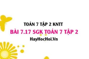 Bài 7.17 SGK Toán 7 tập 2 Kết nối tri thức